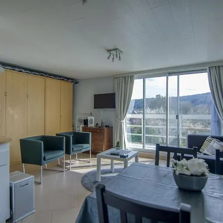 Studio Au Domaine Le Vieux Moulin Apartment