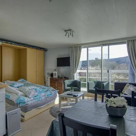 Studio Au Domaine Le Vieux Moulin Apartament Han-sur-Lesse